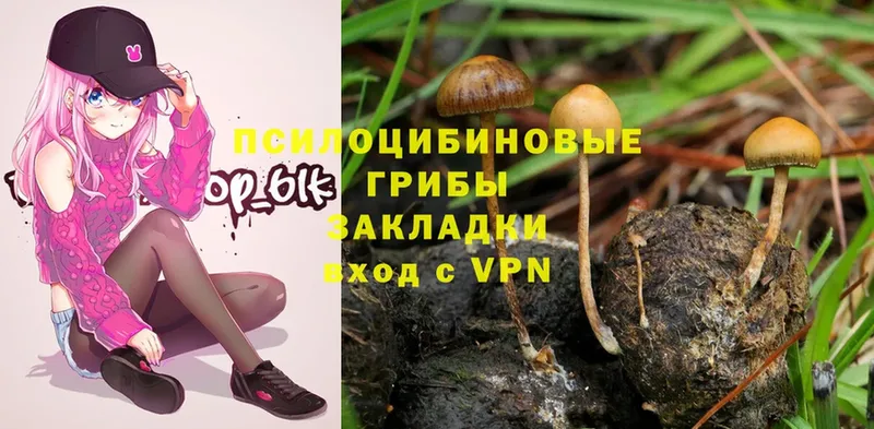 Галлюциногенные грибы Psilocybe  ссылка на мегу рабочий сайт  Барнаул 